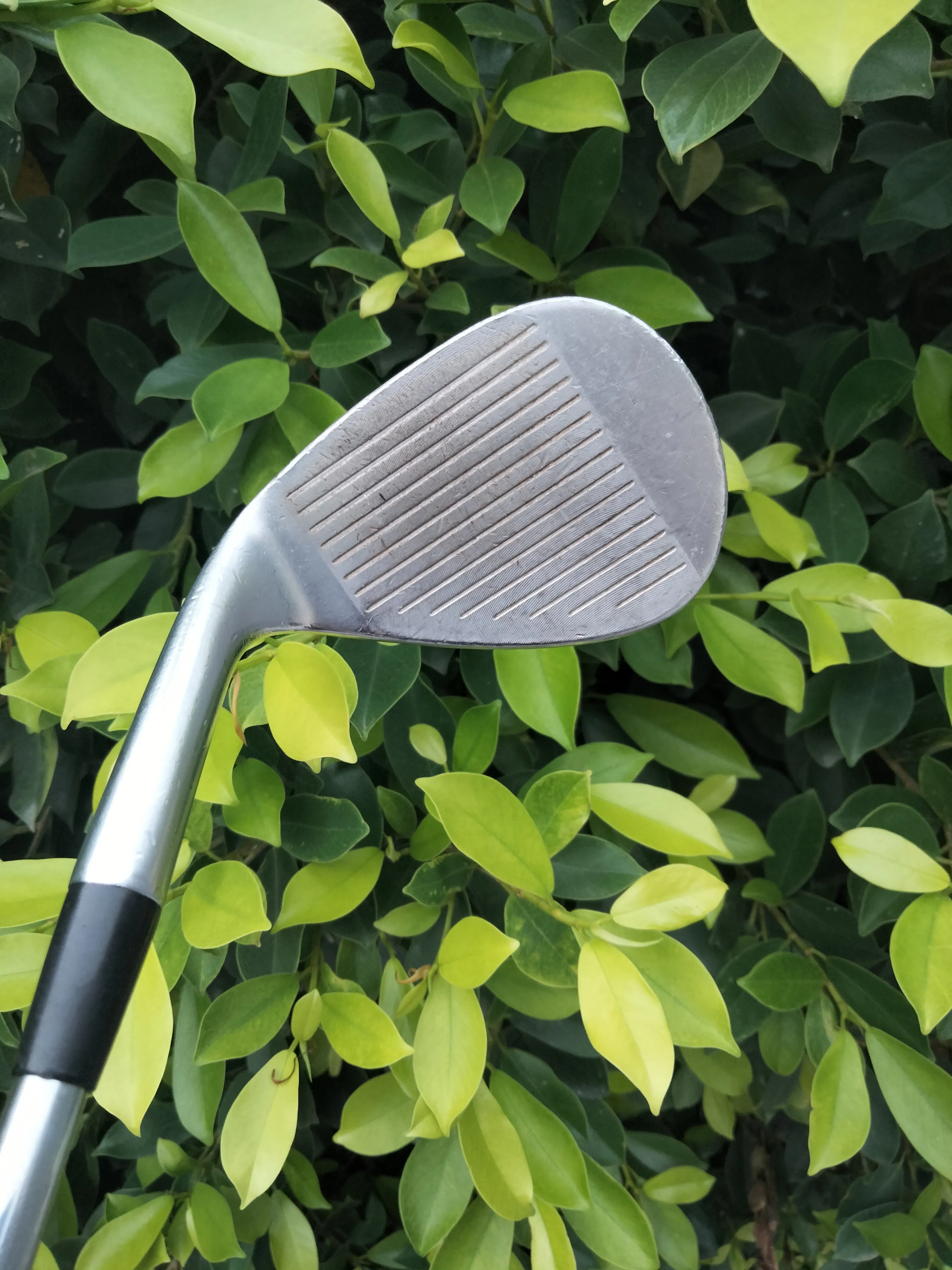 Kasco Dolphin Wedge DW-113 58° Lob Wedge